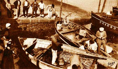 Barque pleine de sardines